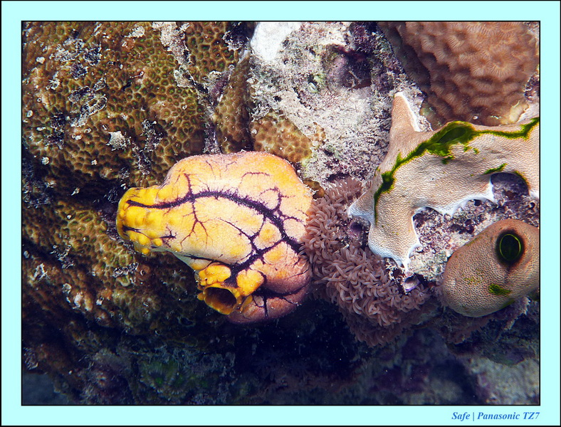 2011 - 08 - Bohey Dulang Island 16